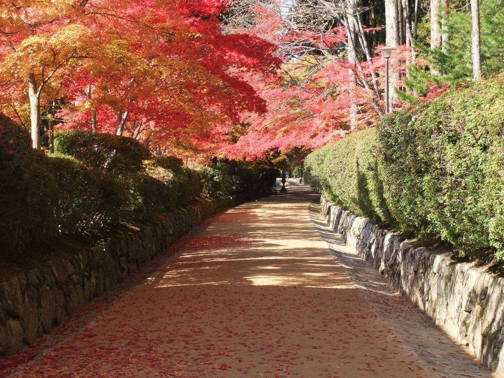 Hotel Koyasan Shukubo Jokiin Zewnętrze zdjęcie